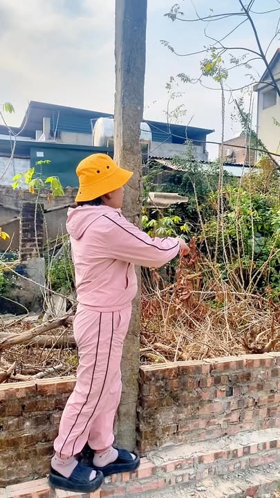 Đất nền Xã Quang Tiến, Huyện Sóc Sơn 83m² giá thỏa thuận - Đón đầu dự án lớn!