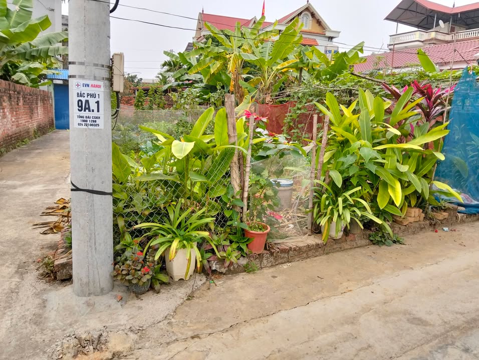 Đất nền đẹp tại Bắc Phú, Sóc Sơn 86,2m² giá 2,1 tỷ - Vị trí vàng, sổ đỏ chính chủ!