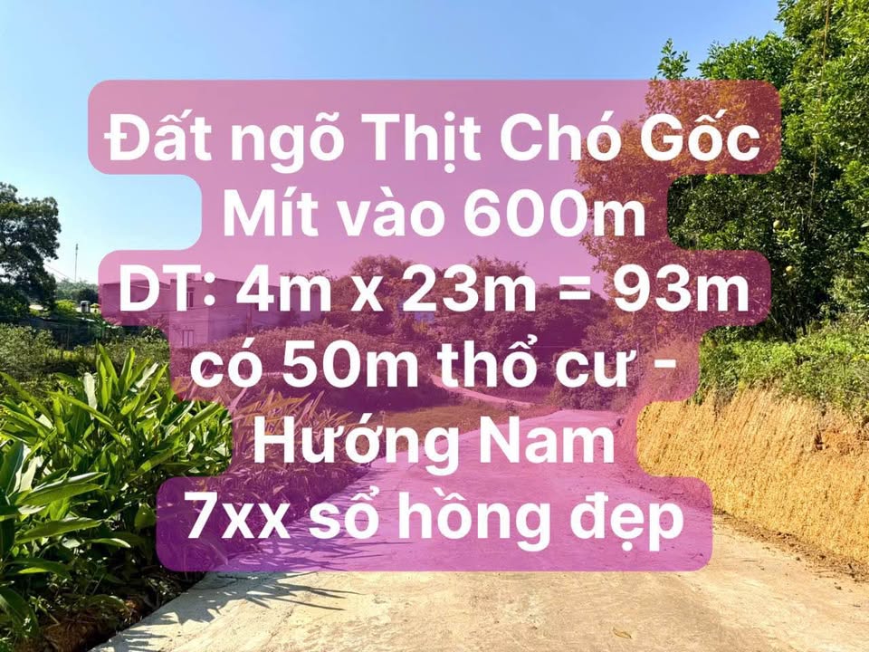Đất nền Tổ 10 Nông Tiến 93m² giá 700 triệu - Cần tiền tiêu Tết!