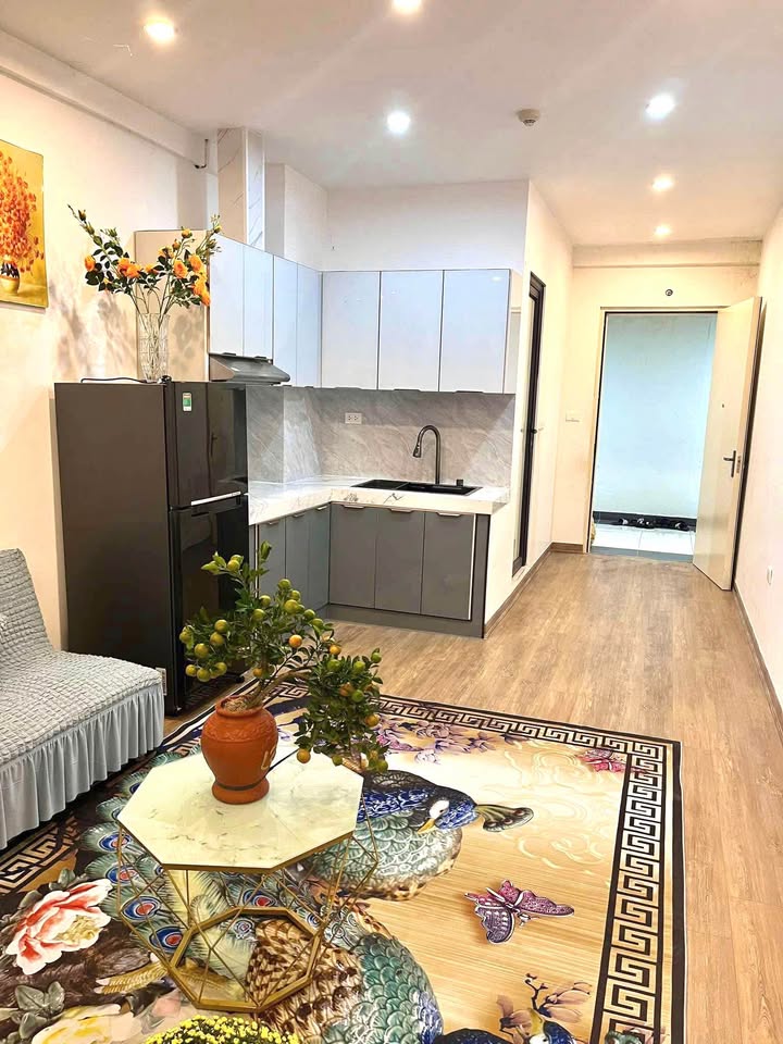 Cho thuê căn hộ 1PN Tân Tây Đô 40m² full nội thất - 4.5 triệu/tháng