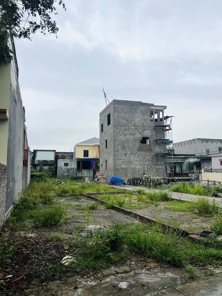 Lô đất 47m² tại Tân Tiến, An Dương chỉ 1.15 tỷ - Cơ hội đầu tư hiếm có!