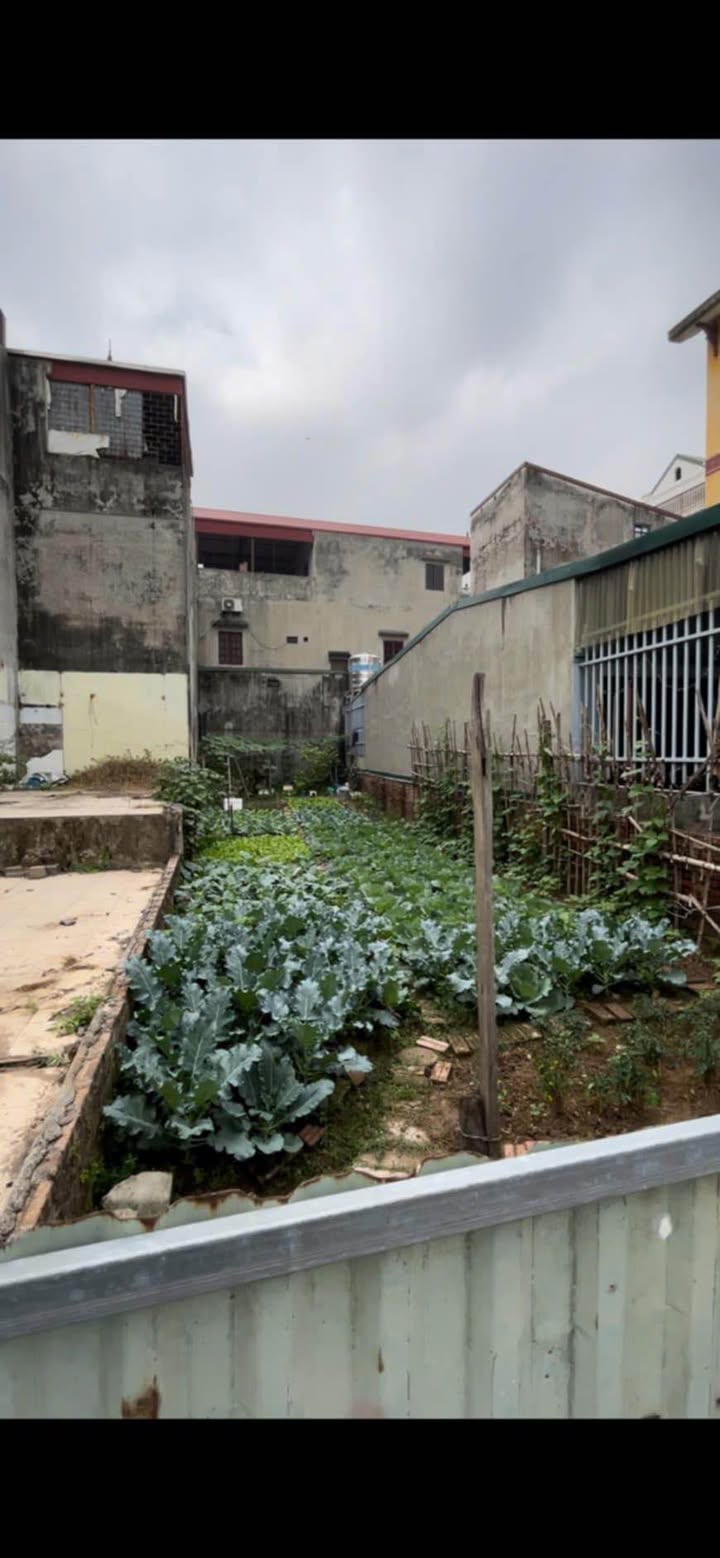 Đất Thụy Phương Bắc Từ Liêm 55m² giá 9.625 tỷ - Vị trí cực hiếm, ô tô vào tận đất!