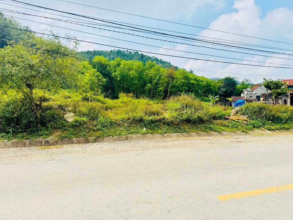 Đất nền sổ đỏ Xã Quỳnh Tân 330m² - Tiềm năng đầu tư hấp dẫn!