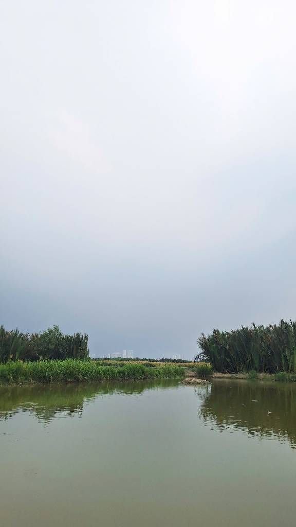 Đất Farm Cầu Trắng, Bình Hưng 1.405m² giá 14.05 tỷ - Tiềm năng sinh thái lớn!