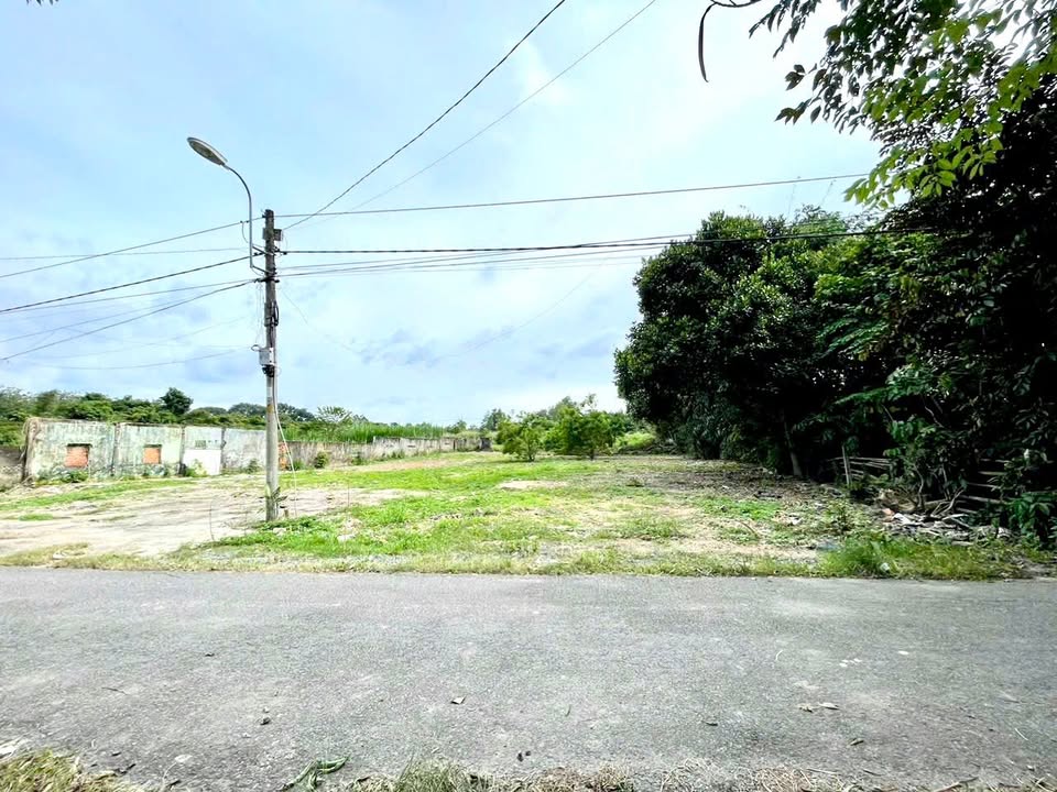 Đất nền 1300m² tại Võ Thị Dòn, Nhuận Đức, Củ Chi - Giá tốt, quy hoạch đất ở!