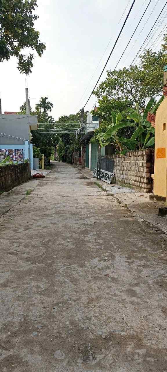 Đất nền thổ cư tại Thôn Đồng Vũ, Xã Đạo Lý, 230m² - Giá chỉ 1.5 tỷ!