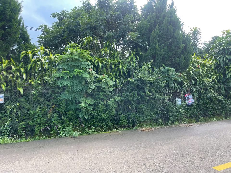 Đất nền Lộc An Bảo Lâm 1200m² giá 3.3 tỷ - Mặt tiền đường lớn