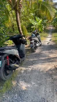 Bán Đất Vườn Sầu Riêng Monthong 6000m² - Phú An, Cai Lậy, Tiền Giang - Giá Đầu Tư 1.5 Tỷ