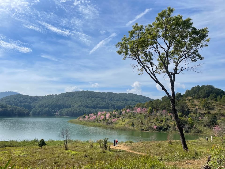 Đất nền Đạ Tẻh 300m² giá 1.1 tỷ - Cơ hội đầu tư không thể bỏ qua!