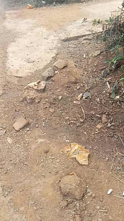 Đất nền Xã Chư Don, Huyện Chư Pưh, Gia Lai 470m² giá 700 triệu - Sổ hồng chính chủ!