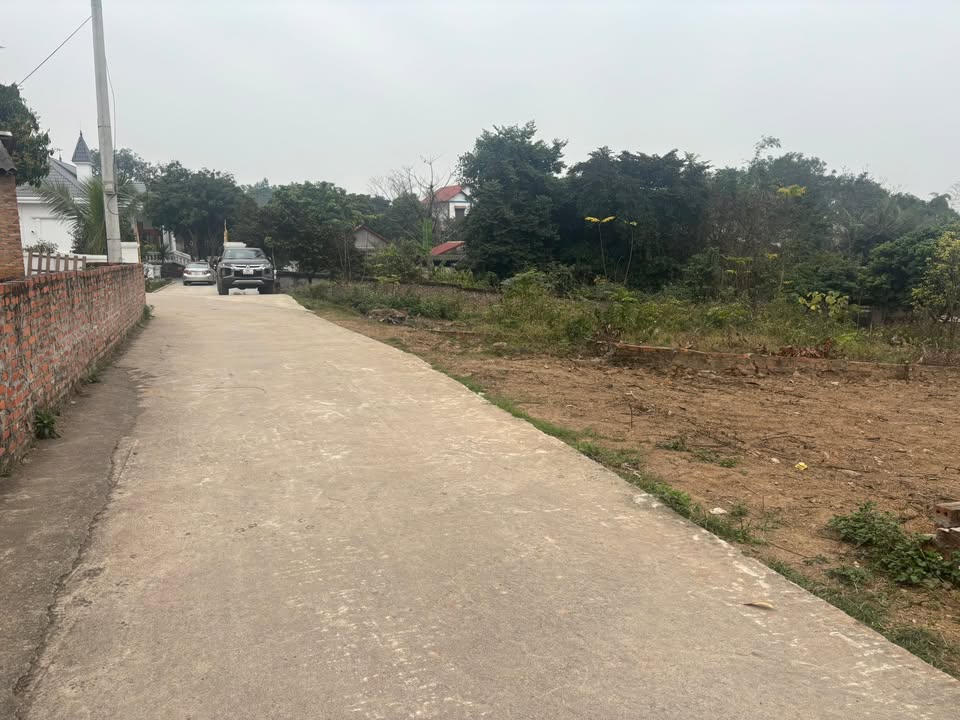 Đất thổ cư Thôn Đình Thanh Vân 112,6m² giá 1,1 tỷ - Sổ hồng chính chủ!