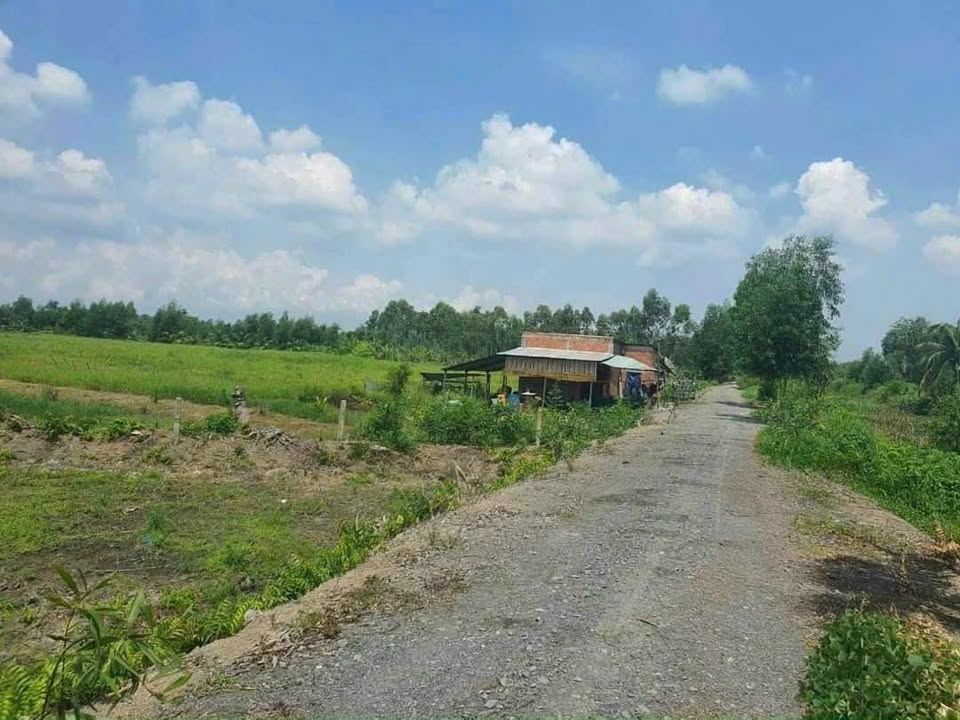 Đất Vườn Long An 639m² Sổ Hồng, Giáp Kênh – Đầu Tư Sinh Lời