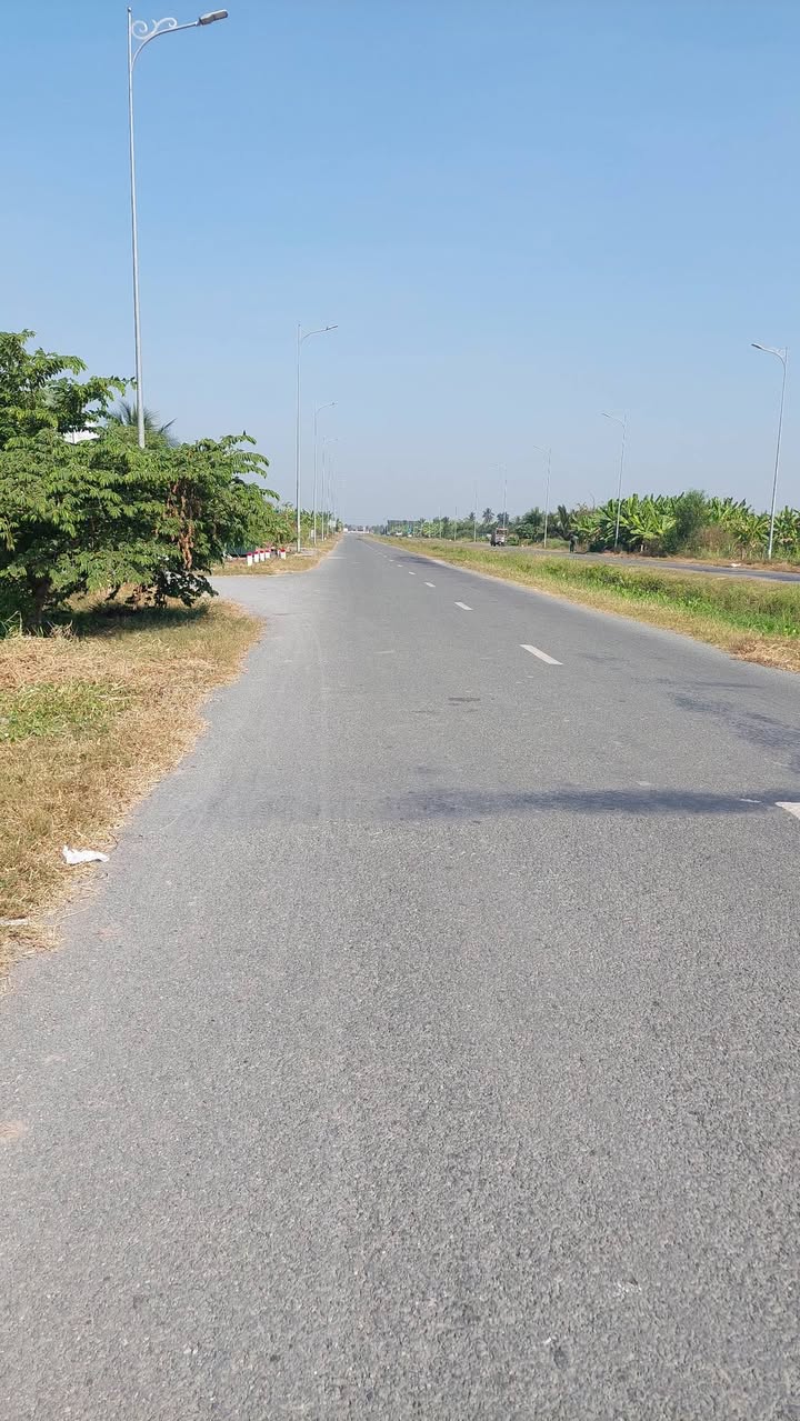 Bán Đất Lúa 1600m² Mặt Tiền Vành Đai Thủ Thừa - Tiềm Năng Thương Mại