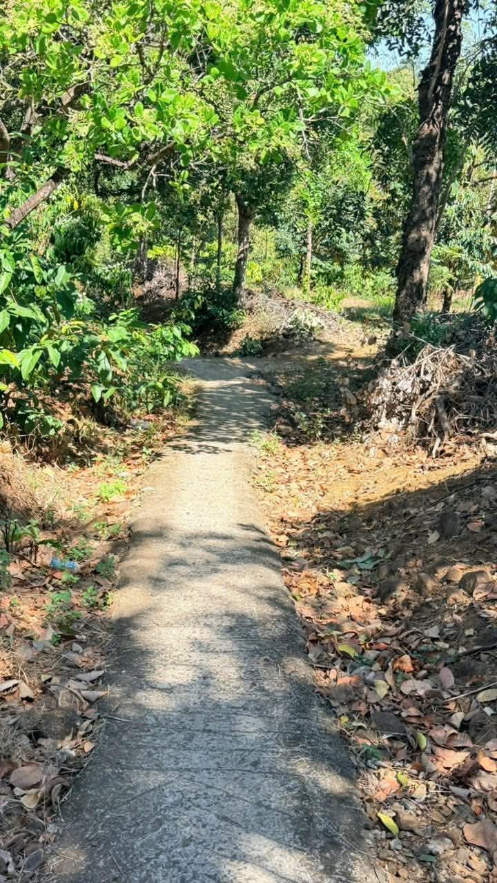 Đất Farm 2,2ha tại Bình Minh - Giá 2,2 tỷ - Sổ đỏ chính chủ