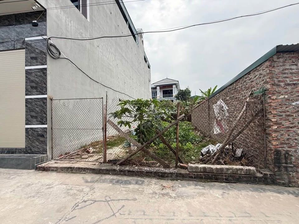 Đất đẹp Sóc Sơn 110m² giá thỏa thuận - Ô tô đỗ cửa, tiện ích đầy đủ!