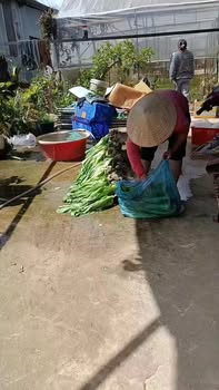 Đất nền đẹp tại Đà Lạt 60m² giá 600 triệu - Cơ hội đầu tư tuyệt vời!