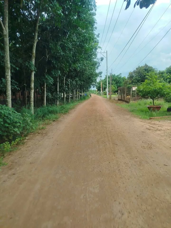 Đất thổ cư Ấp Thạnh Thọ, Xã Thạnh Bình, 13500m² giá 1.22 tỷ - Cơ hội đầu tư hấp dẫn!