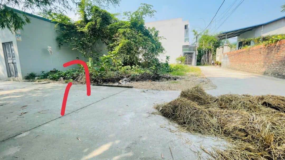 Lô đất đẹp tại Thôn Cát Lư, Hưng Yên 55m² giá 1.9 tỷ - Mặt tiền 4m55, nở hậu lý tưởng!