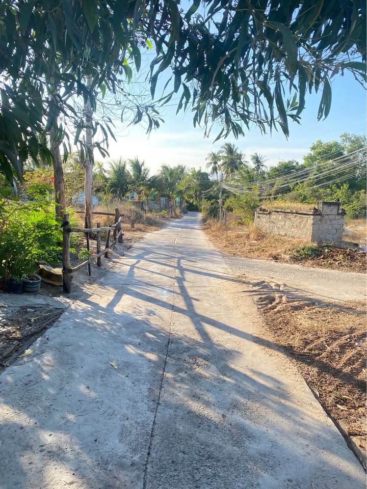 Đất nền xã Hàm Phú, huyện Hàm Thuận Bắc, 168m² chỉ 500 triệu - Đầu tư sinh lời!