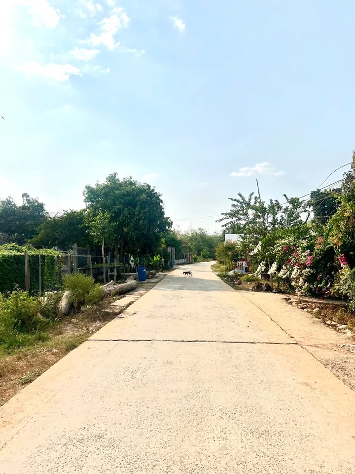 Đất sào 1080m² tại Chơn Thành - Đầu tư sinh lời gần KCN Minh Hưng