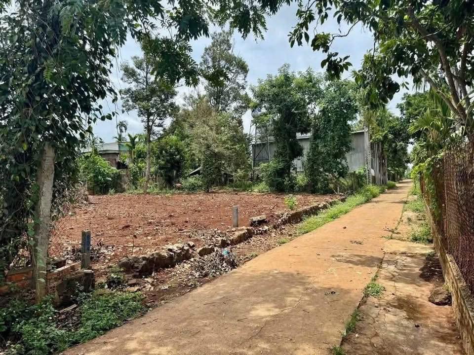 Đất thổ cư 211m² tại Thôn 4 Eatieu, Hòa Thắng giá 950 triệu - Cách sân bay chỉ 5km!