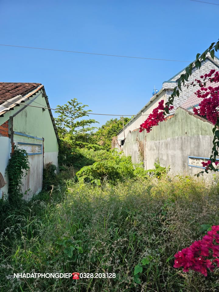 Đất nền Sơn Định Chợ Lách 213m² giá 780 triệu - Tiềm năng đầu tư lớn!