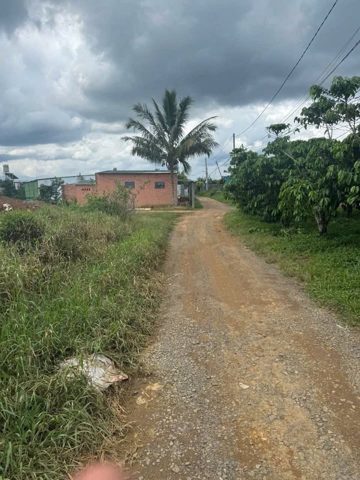 Đất thổ cư hẻm 221 Đoàn Thị Điểm, Phú Nhuận 600m² giá 1.3 tỷ - Cơ hội đầu tư hấp dẫn!