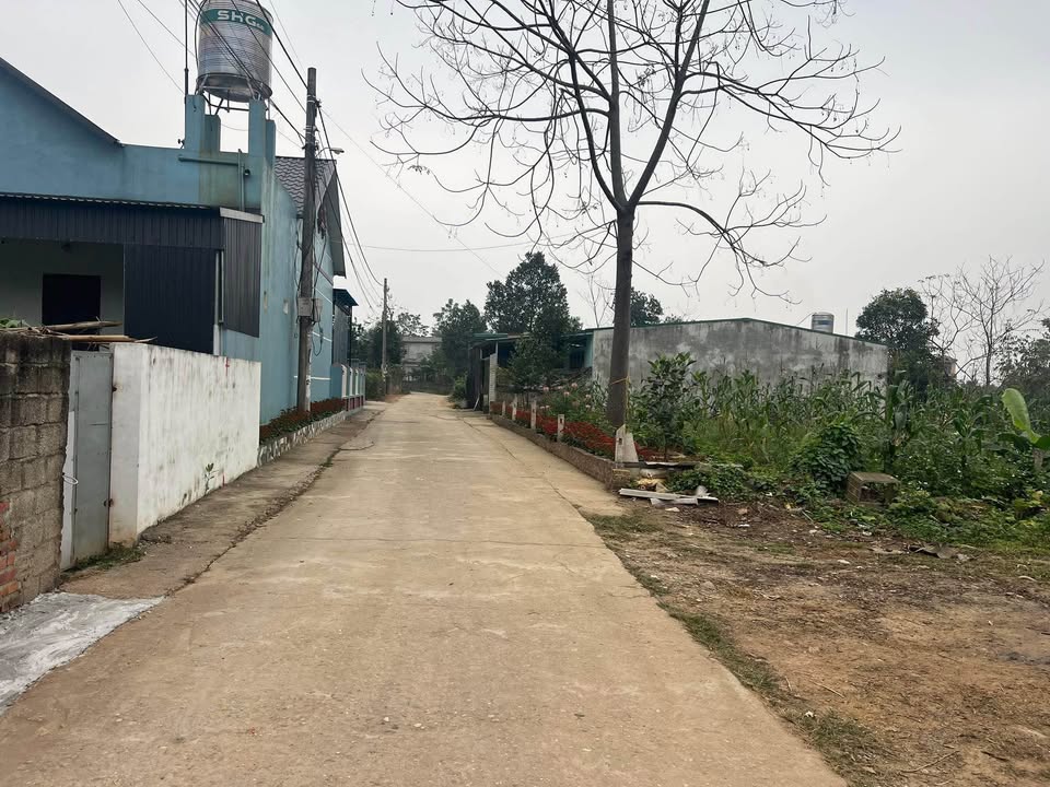 Đất nền Xã Châu Can, Huyện Phú Xuyên 250m² - Sổ đỏ chính chủ, giá thỏa thuận!