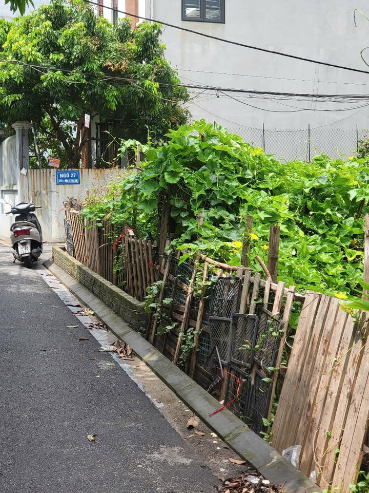 Đất nền Hải Bối Đông Anh 71.8m² giá 7.3 tỷ - Sổ hồng chính chủ, đường xe tải vào tận nơi!