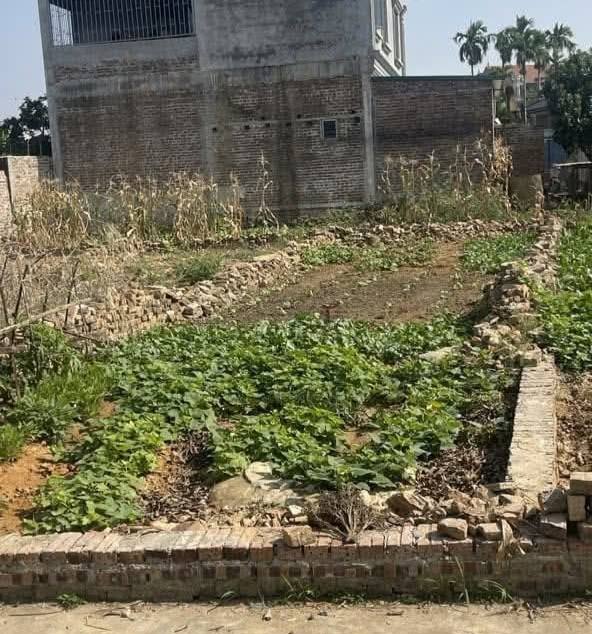 Đất nền Xã Xuân Giang, Huyện Sóc Sơn - 82m² - Giá chỉ 2 tỷ - Đầu tư sinh lời hấp dẫn!