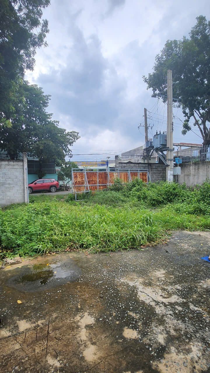 Đất thổ cư 2000m² tại đường Nguyễn Thị Lắng, Củ Chi - Giá 20.5 tỷ thương lượng!