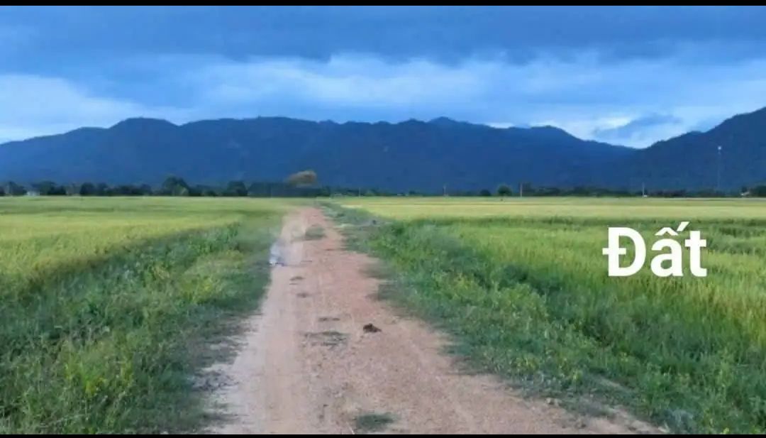 Đất nền 3200m² tại Xã Phan Điền, Huyện Bắc Bình, Bình Thuận - Giá chỉ 320 triệu