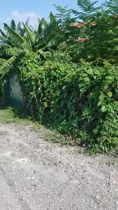 Đất nền thổ cư 600m² KCN Xuân Dương, Lương Sơn chỉ 4.8 tỷ - Cơ hội đầu tư tuyệt vời!