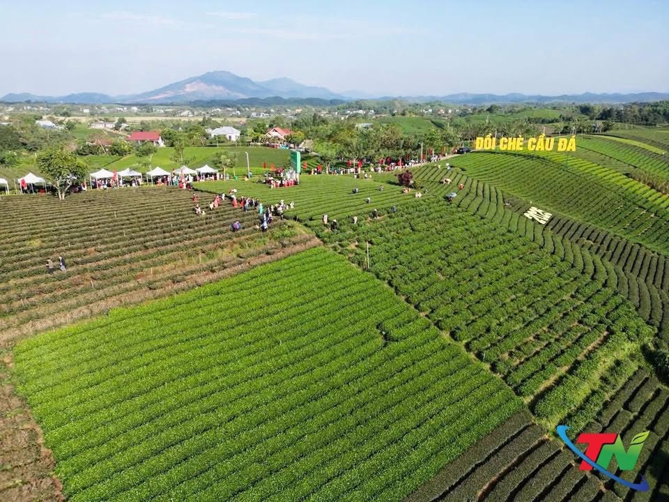 Đất nông nghiệp 5000m² tại xã La Bằng, Thái Nguyên - Thích hợp nghỉ dưỡng!