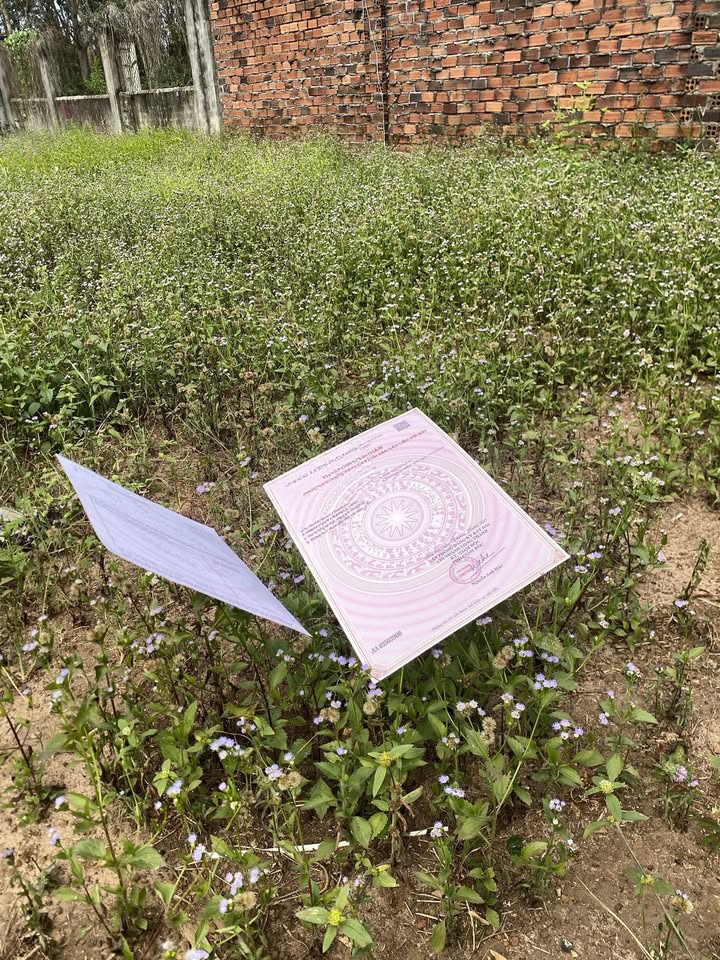 Đất thổ cư 500m² tại Phước Bình, Long Thành chỉ 6 tỷ - Cơ hội đầu tư tốt!