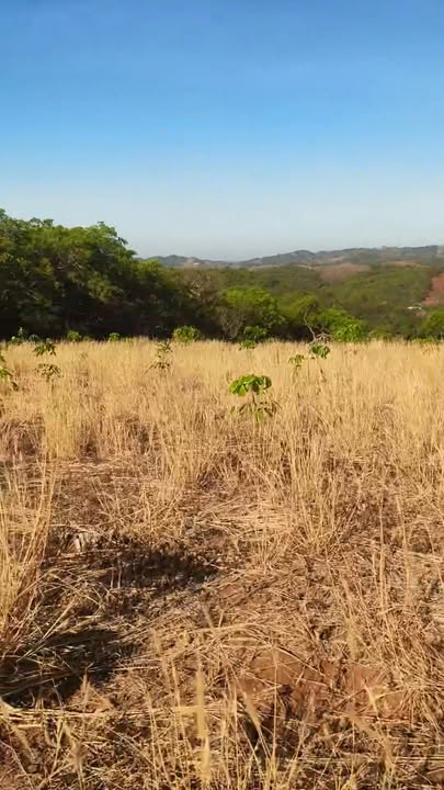 Farm 5,2ha tại xã Thanh Sơn, huyện Tân Phú, giá 1,3 tỷ - Đầu tư sinh lời!