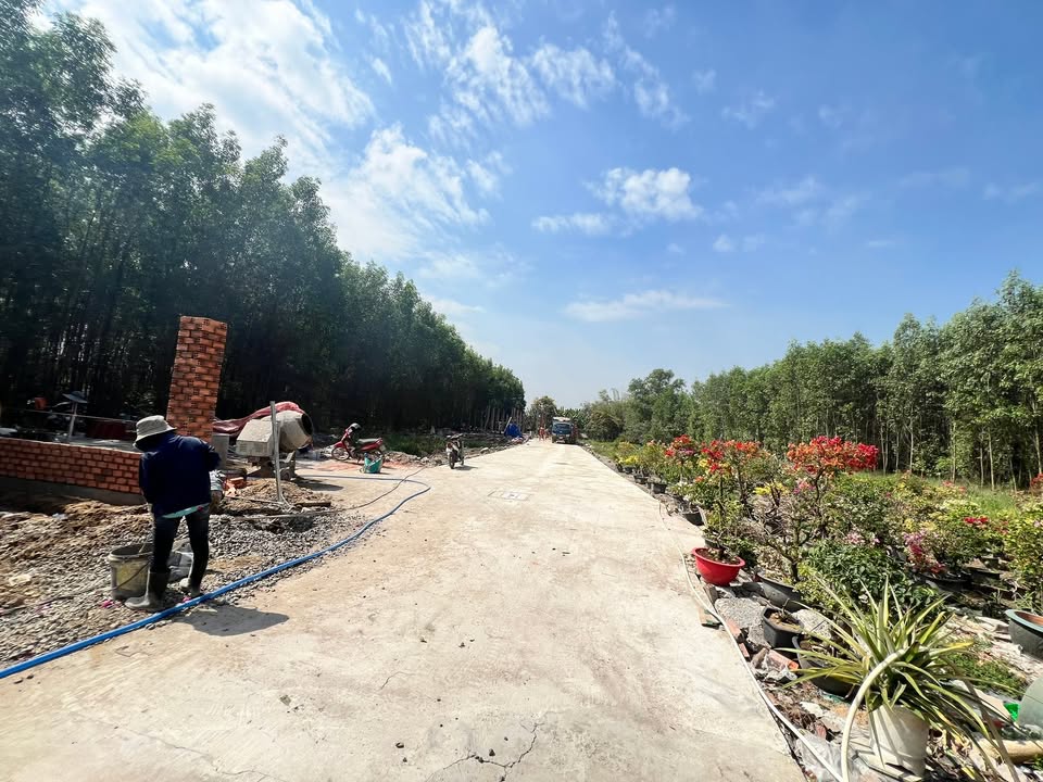 Đất Thạnh Phú, Phường Tân Triều, 80m² giá 1.17 tỷ - Đầu tư sinh lời ngay!