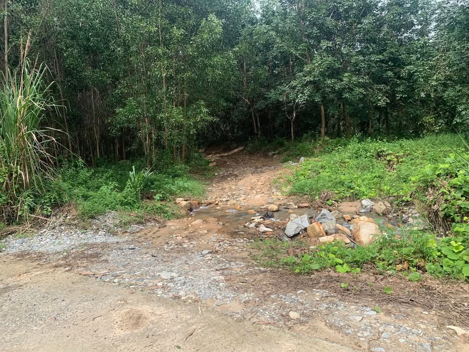 Đất nền Suối Sâu, Ninh Tân 14.3679m² - Cơ hội đầu tư tuyệt vời!