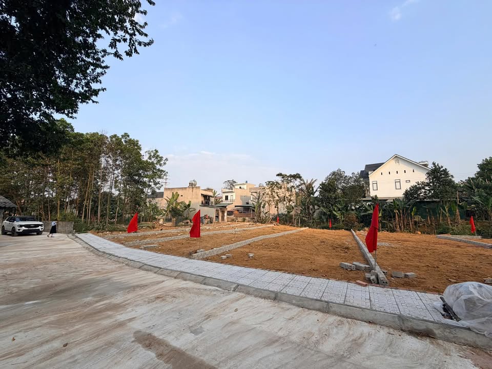 Đất nền dự án Xuân Phú - Sao Vàng, 150-196m² chỉ từ 400 triệu - Đầu tư sinh lời!