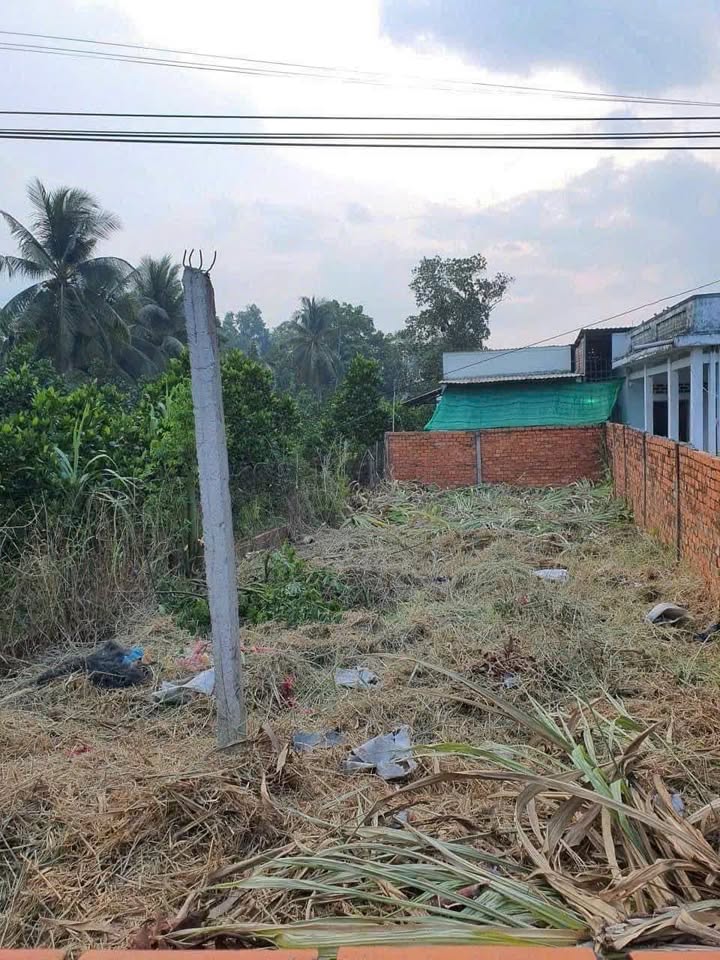 Mảnh đất mặt tiền sông Ba Láng, Tân Phú Thạnh, 130m² - Giá chỉ 650 triệu!