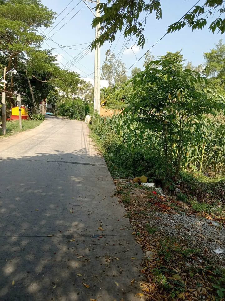 Đất vườn Thốt Nốt 4000m² giá 1.x triệu/m² - Nghỉ dưỡng lý tưởng!