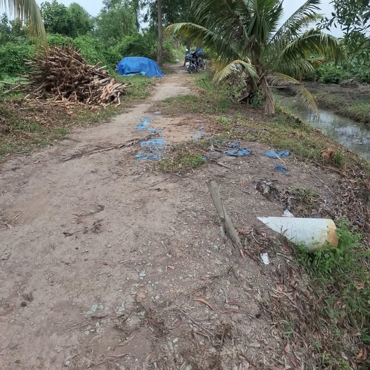 Đất vườn Tân Thành, Thủ Thừa 1000m² chỉ 400 triệu - Đầu tư sinh lời ngay!