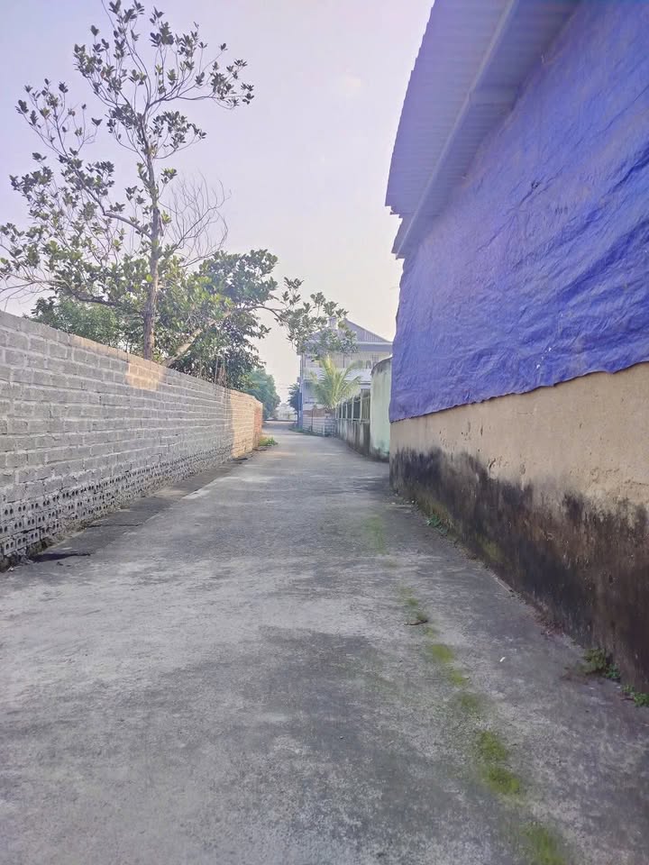 Đất nền An Lão, Hải Phòng 64m² - Sổ đỏ sẵn, ô tô vào nhà