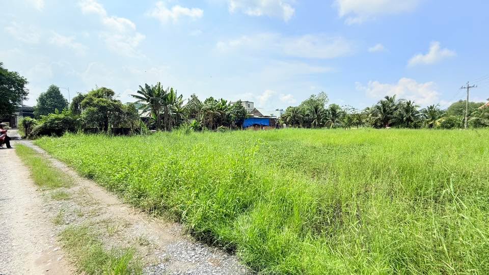 Đất nền Hòa Khánh Đông 254m² giá 1.4 tỷ - Cơ hội đầu tư hiếm có!