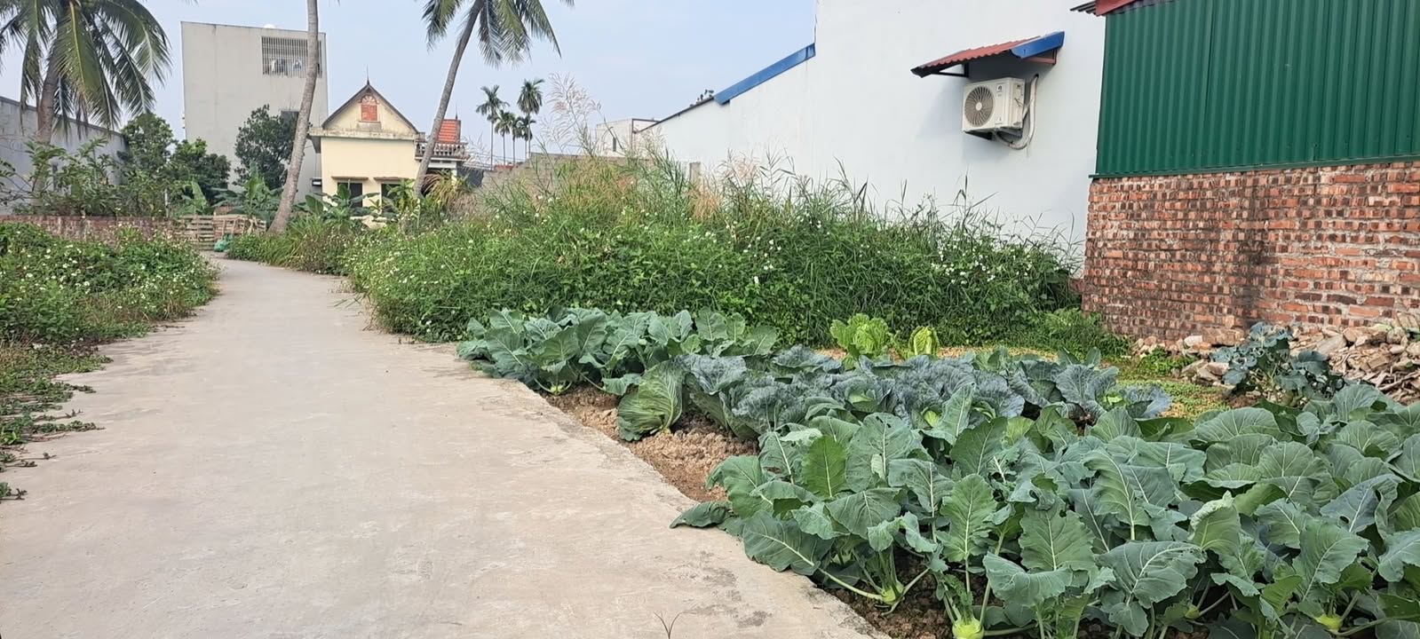 Đất lô góc 2 mặt tiền tại Câu Trung, An Lão 87m² chỉ 900 triệu - Cơ hội đầu tư tuyệt vời!