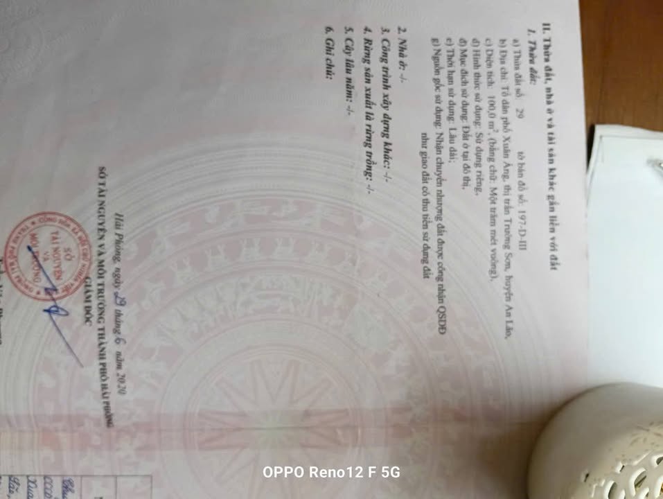 Đất nền 100m² Thị trấn Trường Sơn, An Lão - Ô tô vào tận nơi, giá chỉ 1.4 tỷ!