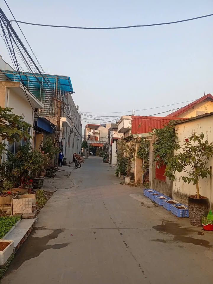 Nhà cấp 4 phố Văn Quang, An Lão, Hải Phòng 126.31m² - Vị trí đắc địa, đầu tư sinh lời!