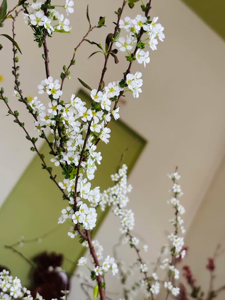 Đất thổ cư 245m² Đường Mai Hắc Đế - Buôn Hồ - Giá chỉ 1.389 tỷ!