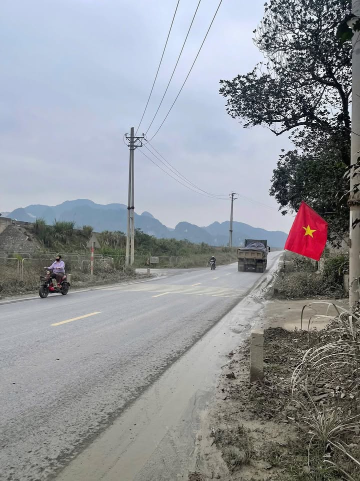 Đất nền mặt đường 47, Tân Bình, Tam Điệp 203m² giá 10 tỷ - Đầu tư sinh lời ngay!