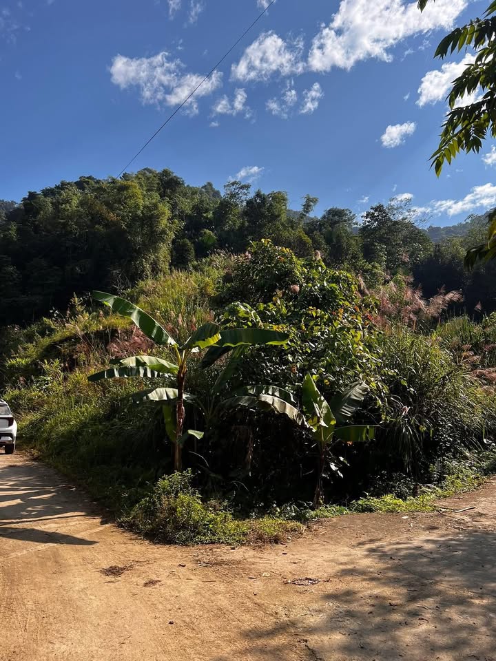 Đất Tiến Thắng Phương Thiện - 1200m² chỉ 1 tỷ - Cơ hội đầu tư tuyệt vời!